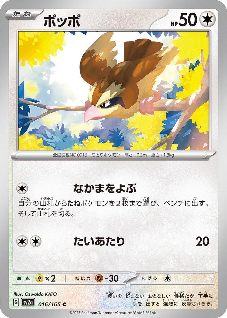 151 #16 - Pidgey