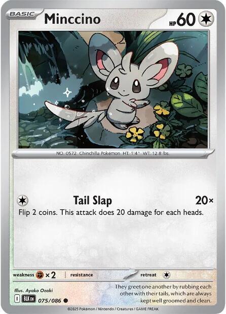 Black Bolt #75 - Minccino (Reverse Holo)
