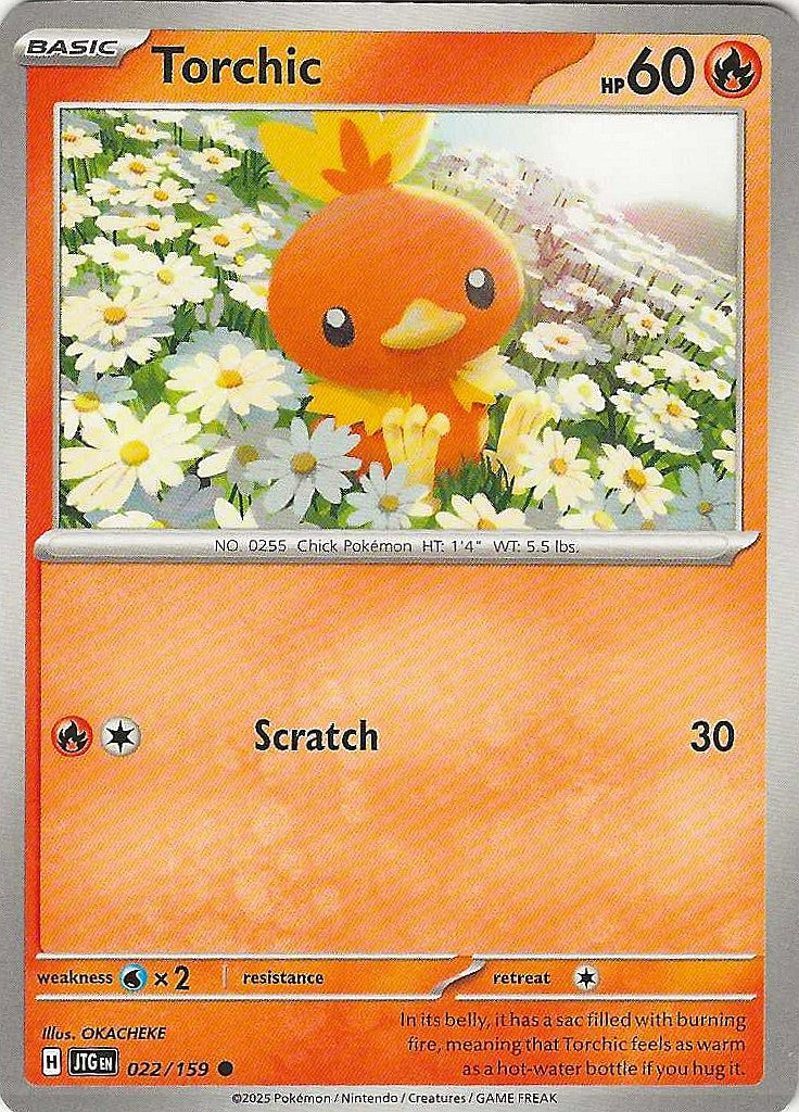 Journey Together #22 - Torchic