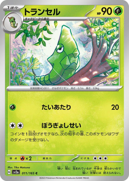 151 #11 - Metapod