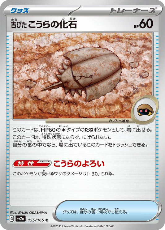 151 #155 - Old Dome Fossil