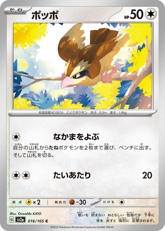 151 #16 - Pidgey