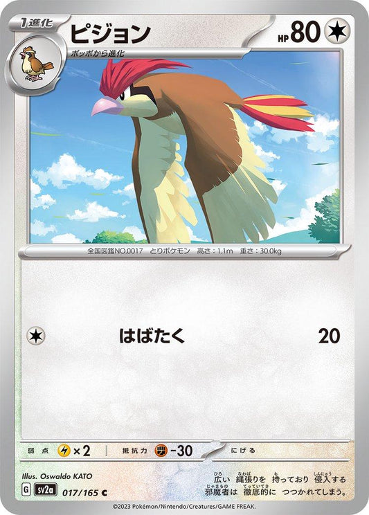 151 #17 - Pidgeotto