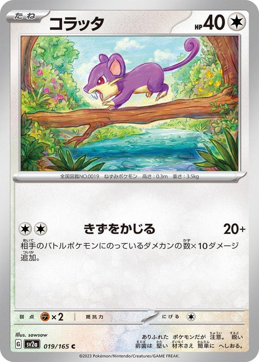 151 #19 - Rattata