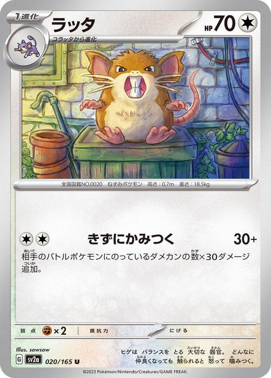 151 #20 - Raticate