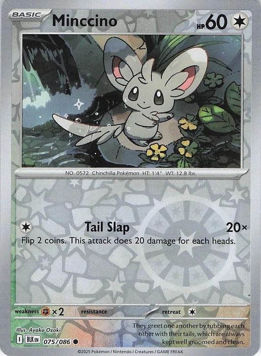 Black Bolt #75 - Minccino (Reverse Holo)